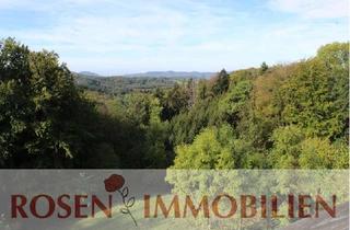 Wohnung mieten in 69483 Wald-Michelbach, Teilmöbliert mit traumhafter Aussicht