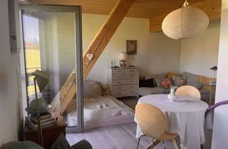 Wohnung mieten in Dorfstraße, 87647 Kraftisried, Helles Studio Apartment