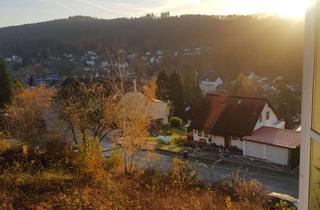 Wohnung mieten in 61276 Weilrod, Schöne zwei Zimmer Wohnung in Weilrod-Riedelbach mit Ausblick