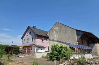 Haus kaufen in 96190 Untermerzbach, Zuhause mit viel Platz großen Nebengebäuden