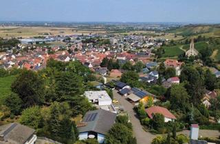 Haus kaufen in 79424 Auggen, Schöne Aussichtslage mit Blick zum Blauen für entspanntes Wohnen und Arbeiten am Weinberg !