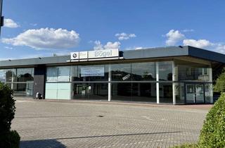Gewerbeimmobilie kaufen in Rudolf-Diesel-Straße 14-16, 49479 Ibbenbüren, Repräsentative Gewerbeimmobilie mit 520 m² Ausstellung, Werkstatt, Betriebswohnung & PV