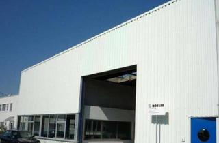 Gewerbeimmobilie kaufen in Siemensstr 24a, 76316 Malsch, Industrie-Produktions-Lagerhalle mit 2 Hallenkränen und Freifläche