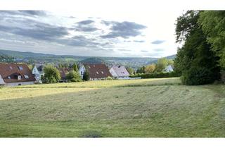 Grundstück zu kaufen in 97688 Bad Kissingen, „BAUTURBO“ Grundstück mit einmaligem Weitblick & neuem Bebauungspotenzial