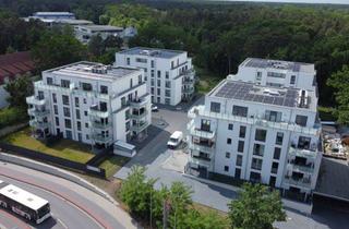 Wohnung mieten in Fuhrberger Straße 4a, 29225 Celle, Moderne 3-Zimmer-Erdgeschosswohnung mit Terrasse und eigenem Garten - inkl. Einbauküche!