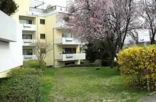 Wohnung kaufen in Bordenbergweg 17a, 64367 Mühltal, gemütliche Wohnung im Souterrain in Mühltal