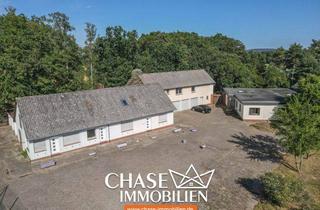 Haus kaufen in 31547 Rehburg-Loccum, Alleinlage mit drei Wohngebäuden auf großem Grundstück - wohnen, vermieten, genießen im Naturidyll!