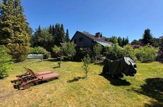 Einfamilienhaus kaufen in 29308 Winsen, Idyllisches Einfamilienhaus im Wochendgebiet in Thören