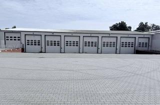 Gewerbeimmobilie kaufen in Bonrechtern 26, 49429 Visbek, 2.900 m² Hallenkomplex| 120.000 € p.a. | KP 950.000€ | Erweiterungsfläche optional