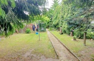 Wohnung mieten in 02625 Bautzen, Bautzen - Top Sanierte Singlewohnung