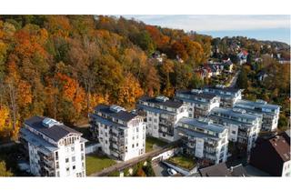 Wohnung mieten in Dresdnerstraße 52, 09337 Hohenstein-Ernstthal, Kompakt und modernisiert: 1,5-Zimmer-Wohnung in Hohenstein-Ernstthal