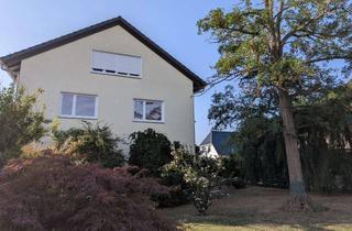 Wohnung mieten in Leipziger Weg 10, 34253 Lohfelden, Frisch saniert: Helle 3-Zimmer-Wohnung in Lohfelden