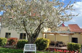 Wohnung mieten in 55597 Wöllstein, Top-2,5-Zimmerwohnung mit Garten und Doppelgarage in bester Lage Wöllsteins
