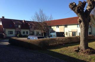 Haus mieten in Lilienthalstraße 33 B, 14550 Groß Kreutz, Charmante Doppelhaushälfte sucht eine neue Familie