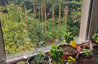 Wohnung mieten in 42277 Wuppertal, Lichtdurchflutete 2-Zimmer-Wohnung (56 m²) mit eigenem Garten & Nobilia-Küche zur Übernahme