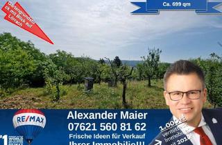 Grundstück zu kaufen in 79541 Lörrach, Schönes Gartengrundstück in Lörrach Tüllingen!! Ihre Chance in Lörracher Sonnenlage!
