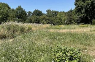 Grundstück zu kaufen in Am Alten Sägewerk, 41352 Korschenbroich, Provisionsfreies Villengrundstück in exklusiver Lage am Waldrand