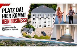 Immobilie mieten in Göltzschtalstraße 58, 08209 Auerbach, ! ! PLATZ DA ! ! Hier kommt Dein Business! Repräsentative Büro- und Gewerbeflächen
