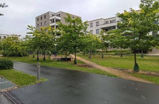 Wohnung mieten in Eibenstocker Str 107, 01277 Tolkewitz/Seidnitz-Nord, 4-Zimmer-Wohnung in Dresden Striesen