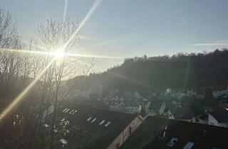 Wohnung mieten in Spreuerbergstraße 37, 71297 Mönsheim, Charmante helle Maisonette Wohnung am Ortsrand von Mönsheim inkl. TG-Stellplatz