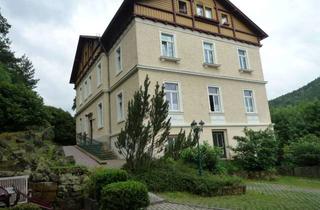 Wohnung mieten in Schandauer Straße 56, 01824 Königstein, Atraktive 3-Raum Wohnung in Königstein/Sächsische Schweiz