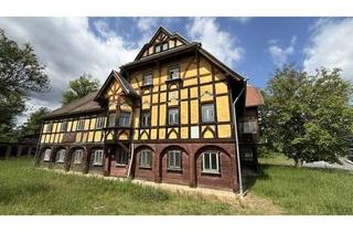Villa kaufen in Lindenweg 17, 02779 Großschönau, Fabrikantenvilla in Großschönau (Baugenehmigung neu)