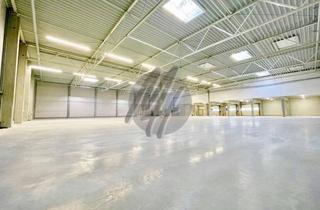 Büro zu mieten in 35394 Gießen, SOFORT VERFÜGBAR ✓ NEUBAU ✓ Modernes Gewerbeobjekt mit Lager (1.050 m²) & Büro (300 m²) zu vermieten