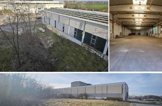 Gewerbeimmobilie kaufen in 04838 Laußig, Gewerbegrundstück mit pfeilerfreier Lager- und Produktionshalle, Straßen-Zufahrt vorhanden