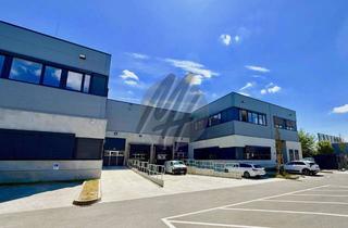 Büro zu mieten in 35447 Reiskirchen, AB SOFORT ✓ Neubau mit Lager (1.150 m²) & Büro (350 m²)