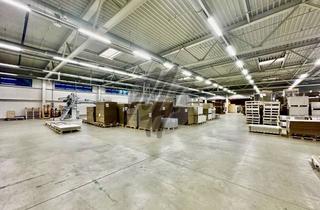 Büro zu mieten in 64521 Groß-Gerau, KEINE PROVISION ✓ Lager-/Produktionsflächen (3.950 m²) mit Büro-/Sozialflächen (380 m²) zu vermieten