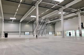 Büro zu mieten in 35447 Reiskirchen, SOFORT VERFÜGBAR ✓ NEUBAU ✓ Lager (500 m²) & Büro (100 m²) zu vermieten