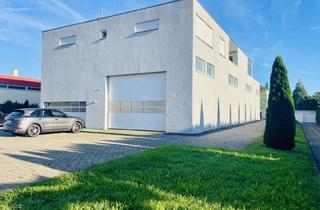 Gewerbeimmobilie kaufen in 71155 Altdorf, exklusives Gewerbeobjekt (Halle/Lager/Werkstatt) mit Penthouse