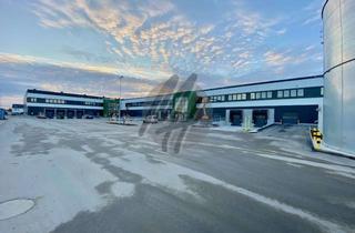 Büro zu mieten in 35394 Gießen, PROVISIONSFREI ✓ Neubau mit Lager-/Logistikflächen (15.000 m²) & Büroflächen