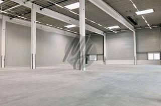 Büro zu mieten in 35447 Reiskirchen, SCHNELL VERFÜGBAR ✓ NEUBAU ✓ Lagerflächen (330 m²) & Büro (120 m²) zu vermieten
