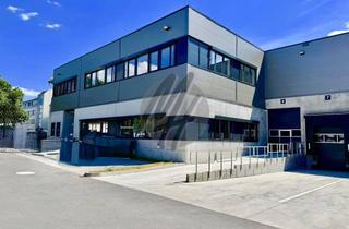 Büro zu mieten in 35394 Gießen, SOFORT VERFÜGBAR ✓ Neubau mit Lager (800 m²) & Büro (200 m²) zu vermieten