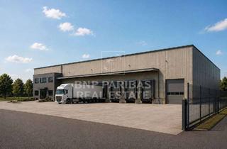 Gewerbeimmobilie mieten in 95666 Mitterteich, Multifunktionale Lager- und Produktionshalle mit Top-Anbindung an der A93