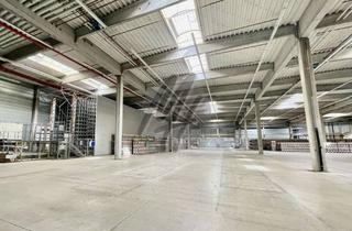 Büro zu mieten in 64331 Weiterstadt, KEINE PROVISION ✓ Lagerflächen (3.600 m²) & Büro-/Sozial (400 m²) zu vermieten