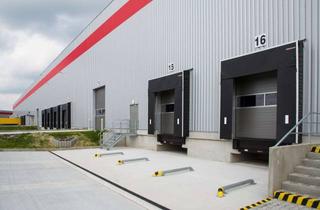 Gewerbeimmobilie mieten in 74196 Neuenstadt, Moderne Hallenfläche direkt an der A81 - provisionsfrei - sofort verfügbar - Rampen