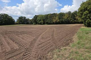 Anlageobjekt in 37120 Bovenden, Großzügiges Freizeitgrundstück in unmittelbarer Nähe zur Plesse