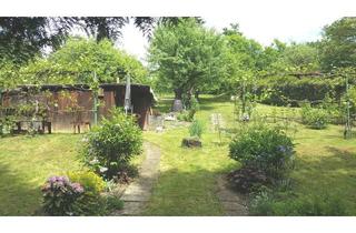 Grundstück zu kaufen in 70619 Sillenbuch, Gartengrundstück - Verwirklichen Sie Ihren Traum vom eigenem Garten! (Großraum Stuttgart)