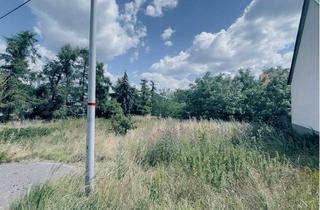 Grundstück zu kaufen in 04886 Großtreben, BAUGRUNDSTÜCK IN BEILRODE mit insgesamt 2.111 m² Fläche