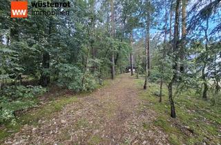 Grundstück zu kaufen in 14547 Beelitz, Teilbare 1603 m² Bauland im beliebten Fichtenwalde! Wir suchen 2 Familien die Eigenheimträume haben
