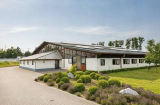 Lager kaufen in 38855 Wernigerode, Exklusives Pferdezuchtanlage mit Reithalle, und großzügigen Weideflächen in Wernigerode