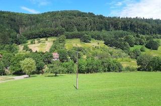 Immobilie kaufen in 77791 Berghaupten, Idyllischer Bauernhof im Kinzigtal – 7,5 ha Natur & außergewöhnliche Möglichkeiten