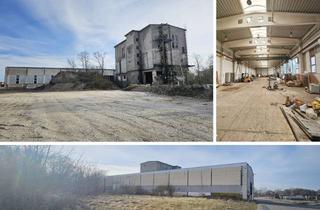 Gewerbeimmobilie kaufen in 04838 Laußig, Ca. 5,75 ha großes Grundstück mit Bestandsgebäuden: Halle + Betonsilo + Freifläche