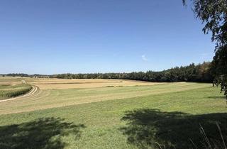 Gewerbeimmobilie kaufen in 82284 Grafrath, Landwirtschaftliche Grün-/ Acker-/ Waldflächen
