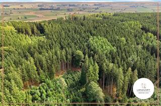 Gewerbeimmobilie kaufen in 86513 Ursberg, **Waldgrundstück nahe Mindelzell*Gesunder Fichtenwald*Gute Zugänglichkeit**