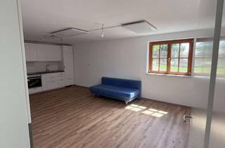 Wohnung mieten in Obere Straße 19 a, 89365 Röfingen, Erstbezug – helle 2-Zimmer-Wohnung mit eigenem Zugang und moderner Ausstattung