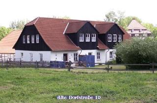Wohnung mieten in Alte Dorfstrasse 1D, 38723 Seesen, Wohnen auf dem Rittergut Kirchberg