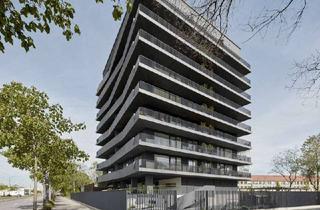 Wohnung mieten in Gret-Palucca-Straße, 01069 Seevorstadt-Ost/Großer Garten, NEU - Moderner und hochwertiger Neubau (KfW 55) in Innenstadtlage